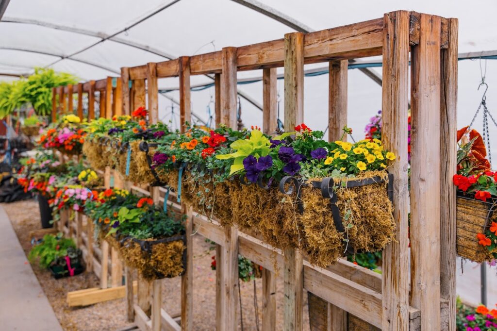 custom flower planters in a row in a greenhouse
