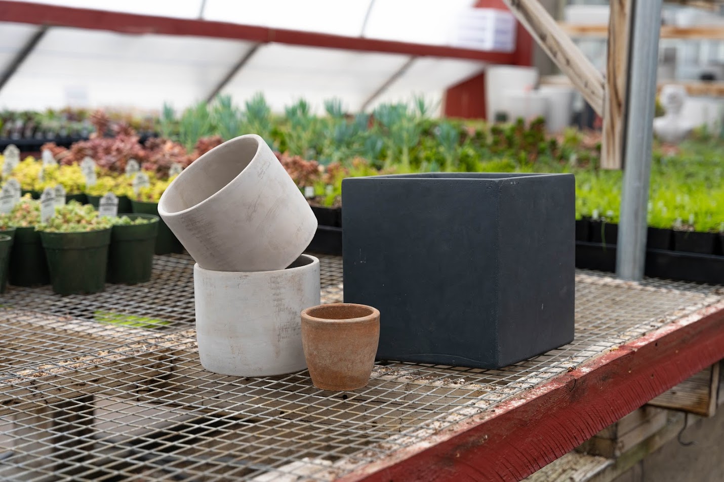 pottery planters in the greenhouse