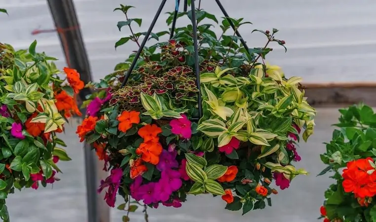 custom planting hanging basket