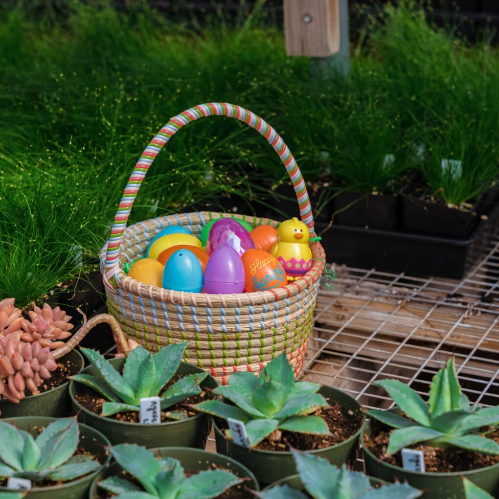 Easter Egg Hunt at The Greenhouse - April 19th - Image 3