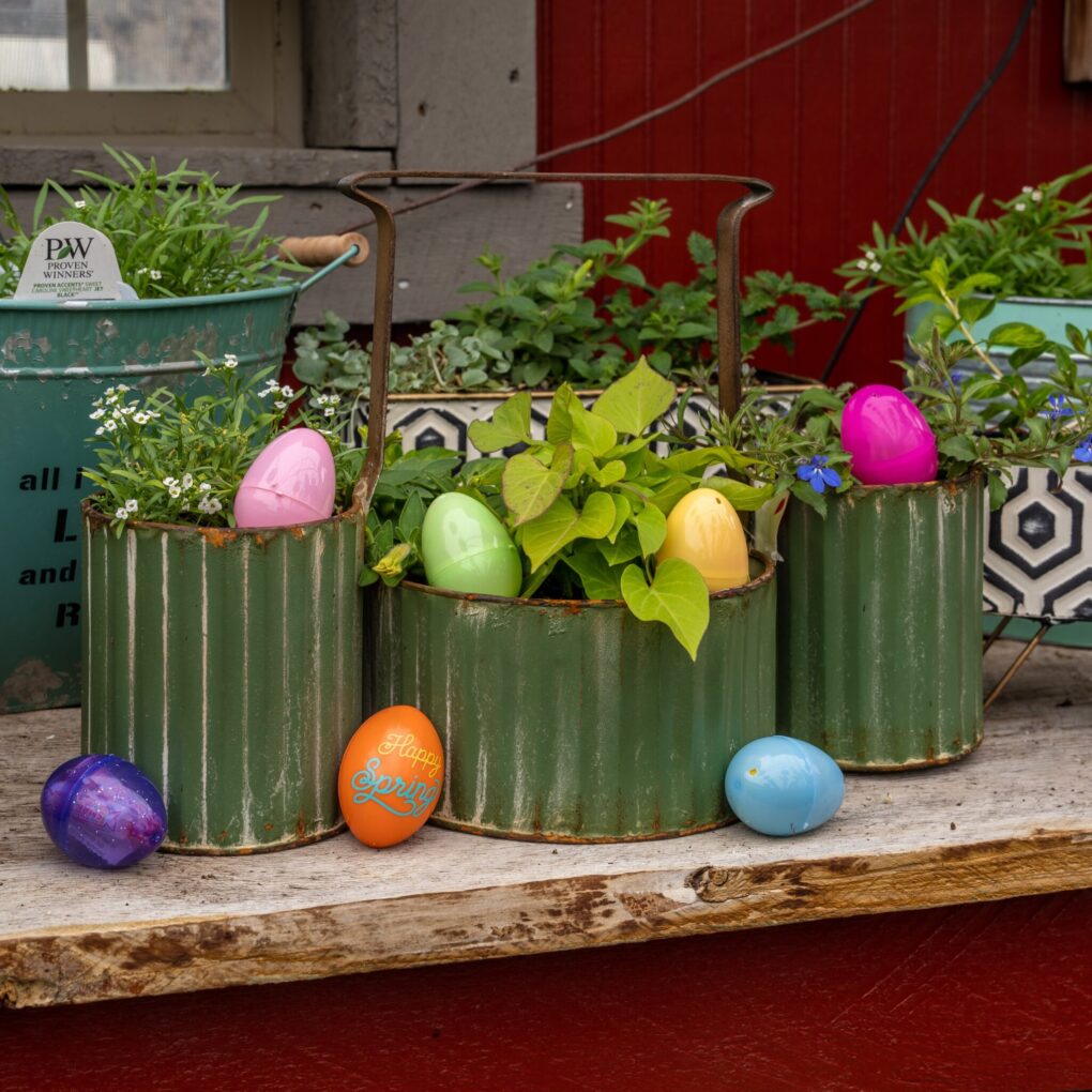 Easter Egg Hunt at The Greenhouse - April 19th - Image 5
