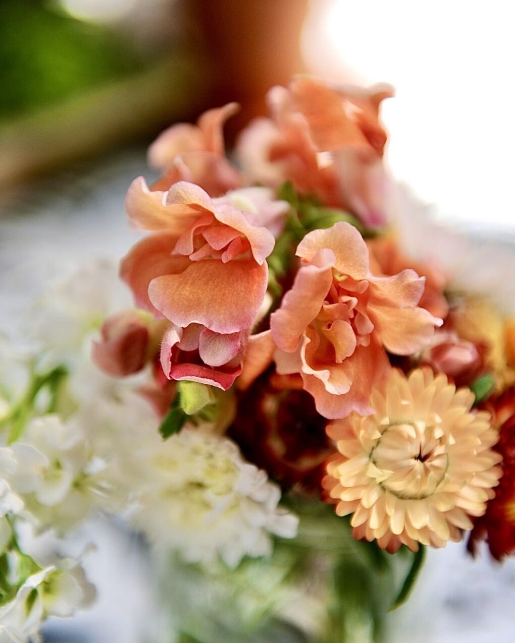 Bloom & Grow: Cut Flowers 101 - May 1st - Image 5