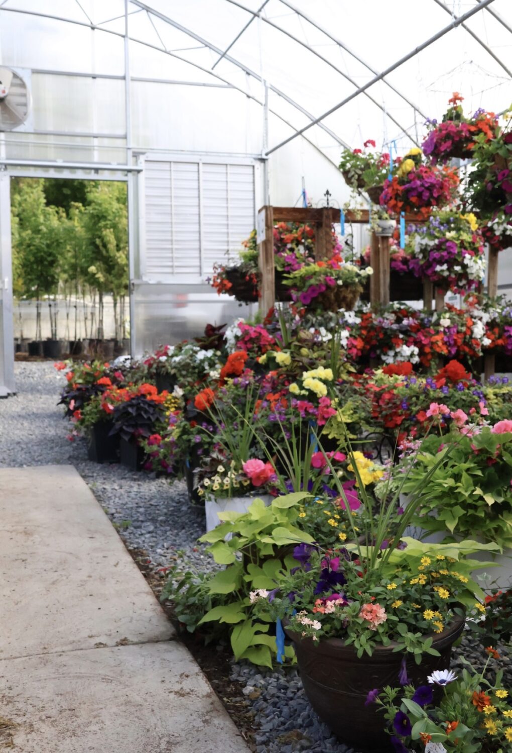 The Art of The Annual Planter - April 5th - Image 2