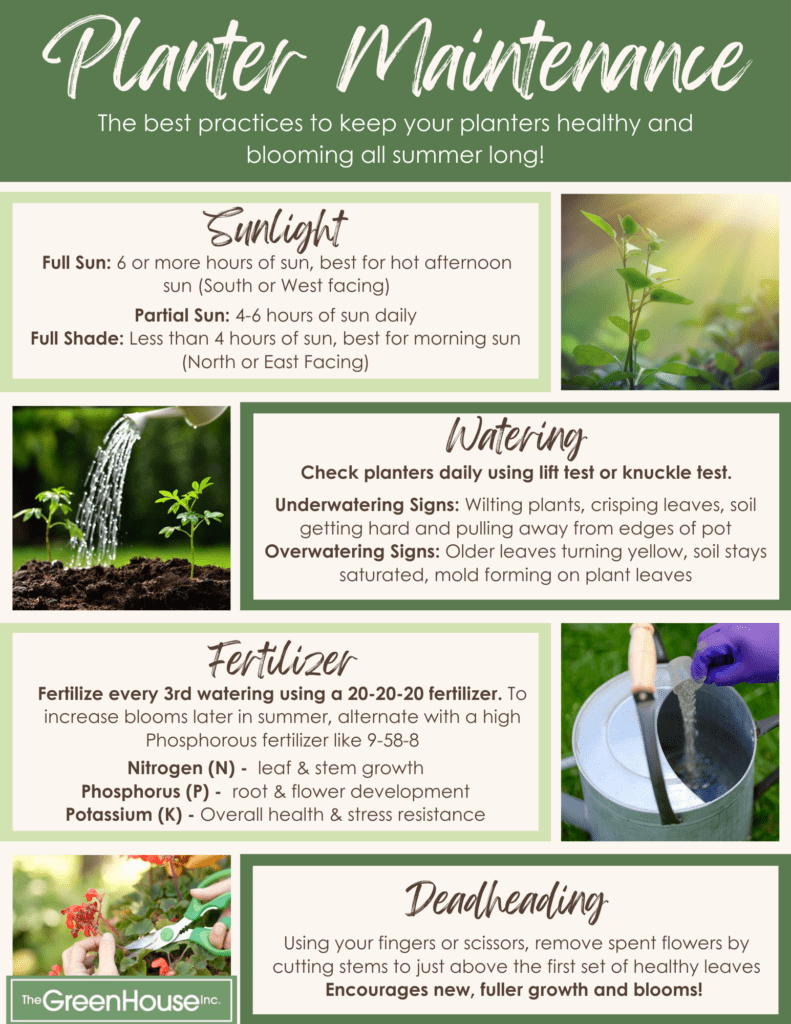 GreenHouse Nursery