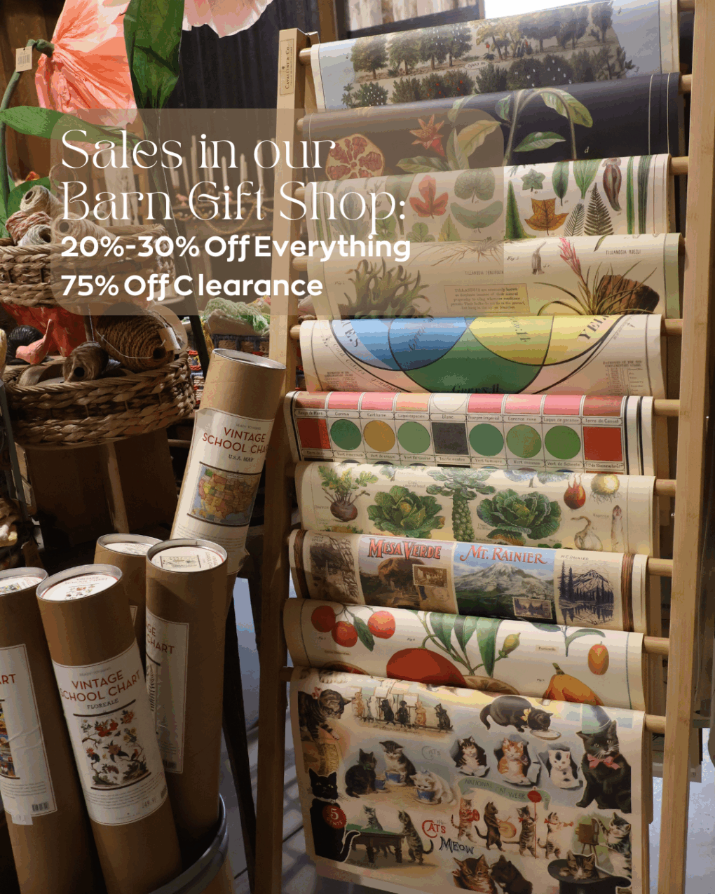 Summer Solstice Market at The Greenhouse - June 21st 2025 - Image 6