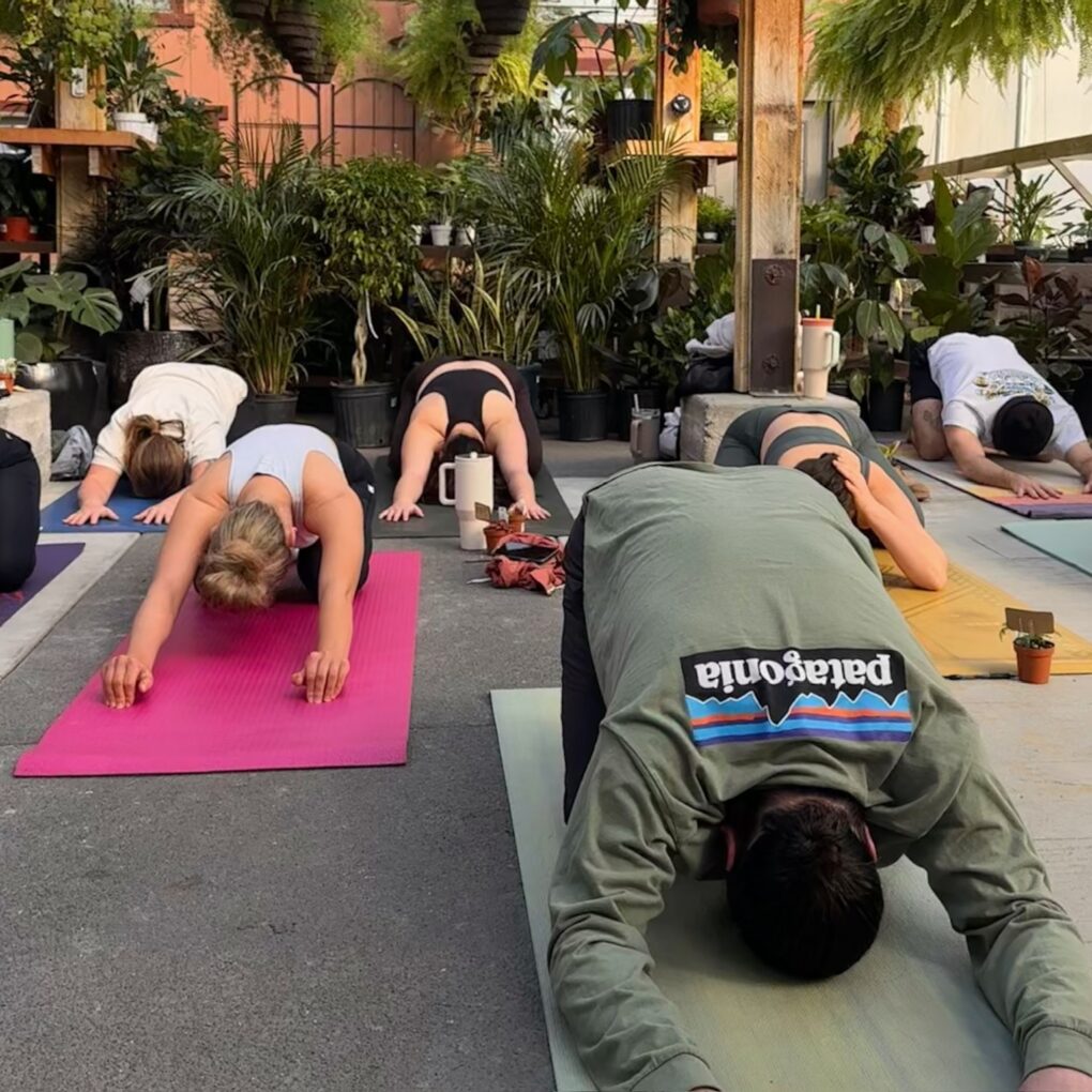 Yoga at The Greenhouse - July 12th - Image 2