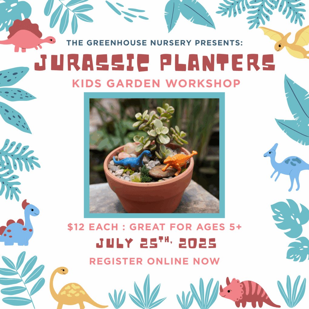 Jurassic Planters: Kids Garden Workshop - July 25th