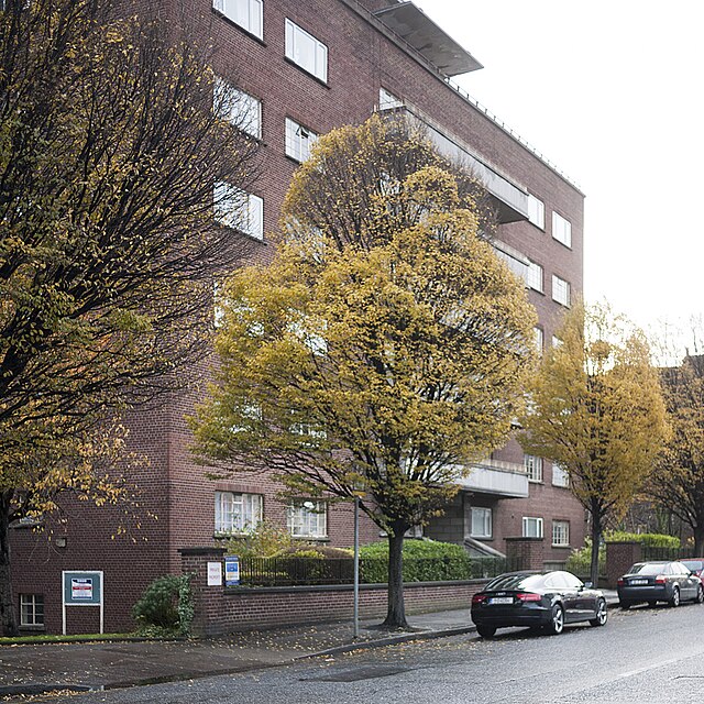 Carpinus b Fastigiata (Common Hornbeam)