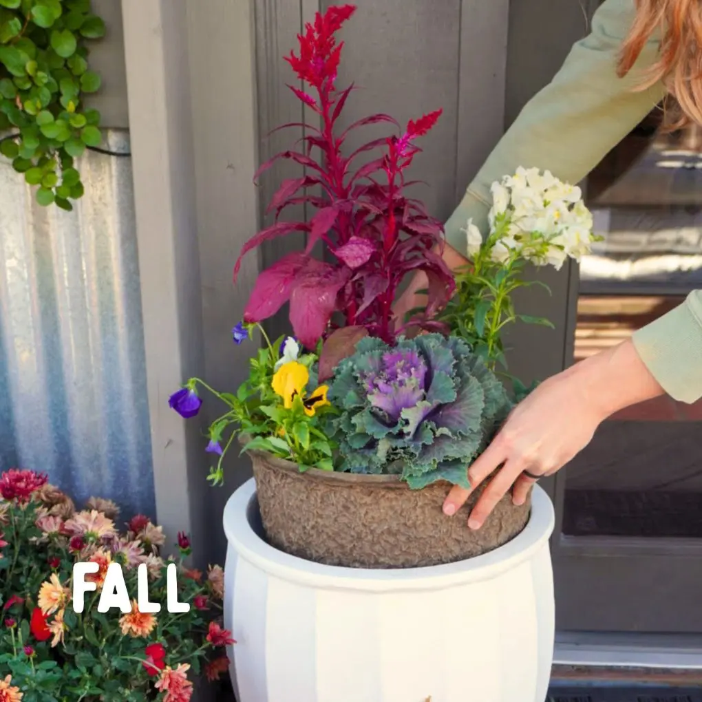 Alternative view of Four Seasons Planter Subscription