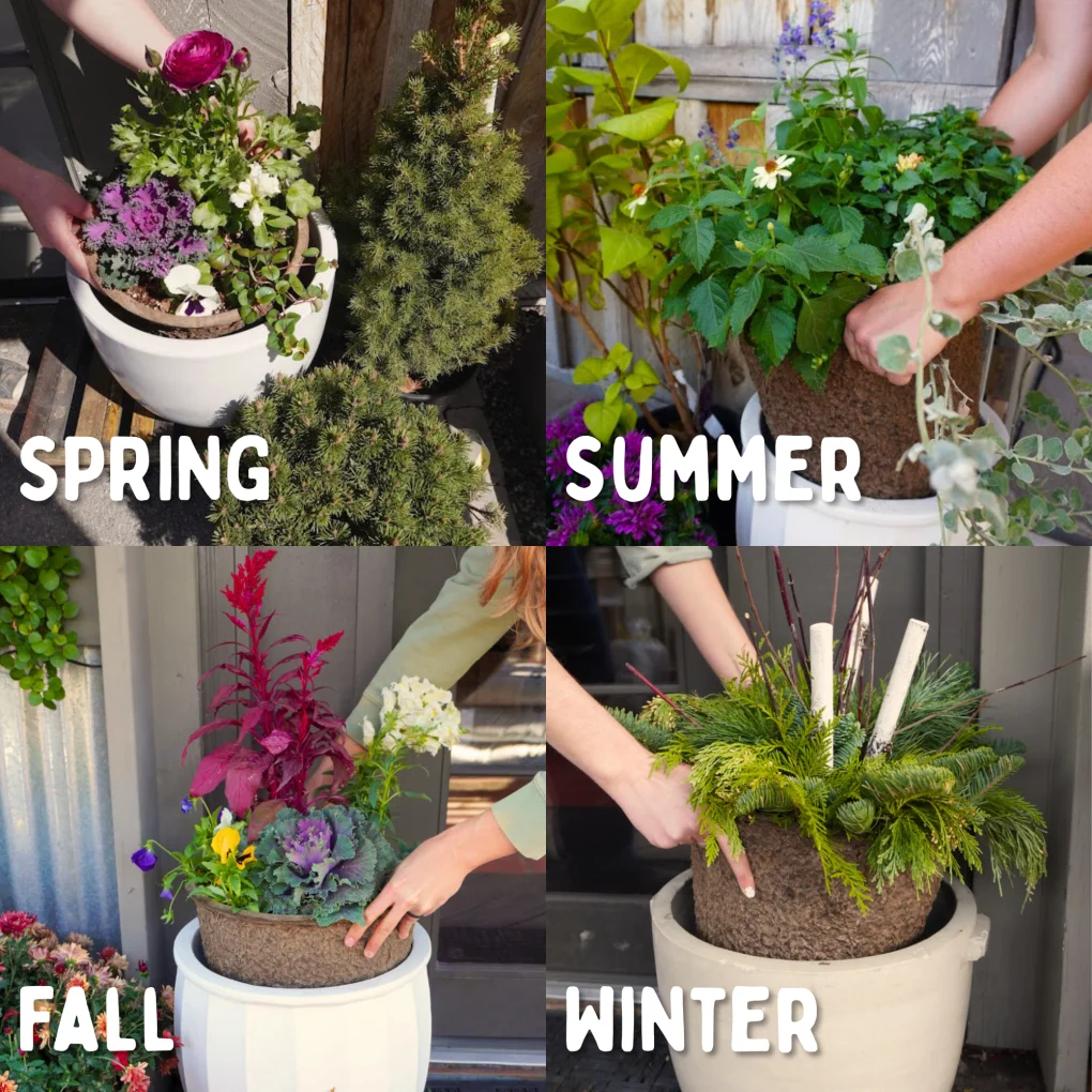 Four Seasons Planter Subscription