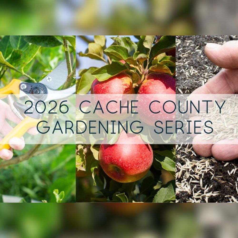 USU Extension - All Things For Pruning Fruit Trees | March 19th