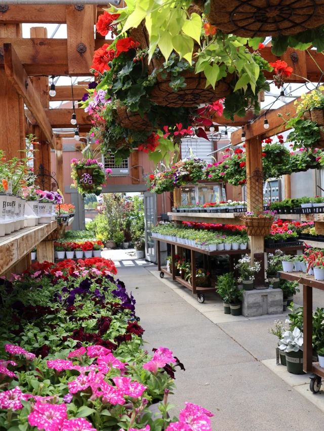 The GreenHouse Nursery - Garden Center in Logan, Utah
